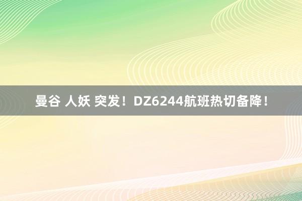 曼谷 人妖 突发！DZ6244航班热切备降！