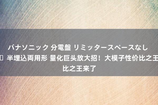 パナソニック 分電盤 リミッタースペースなし 露出・半埋込両用形 量化巨头放大招！大模子性价比之王来了