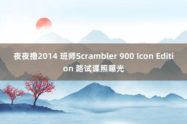 夜夜撸2014 班师Scrambler 900 Icon Edition 路试谍照曝光