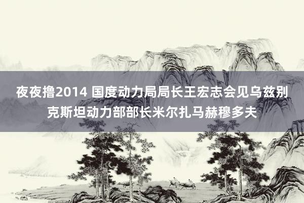 夜夜撸2014 国度动力局局长王宏志会见乌兹别克斯坦动力部部长米尔扎马赫穆多夫