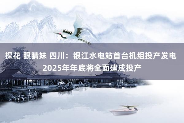 探花 眼睛妹 四川：银江水电站首台机组投产发电 2025年年底将全面建成投产