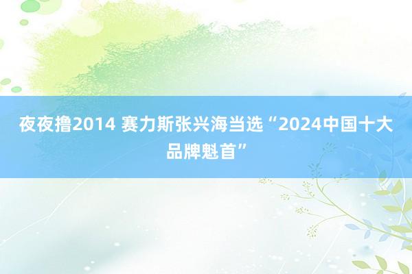 夜夜撸2014 赛力斯张兴海当选“2024中国十大品牌魁首”