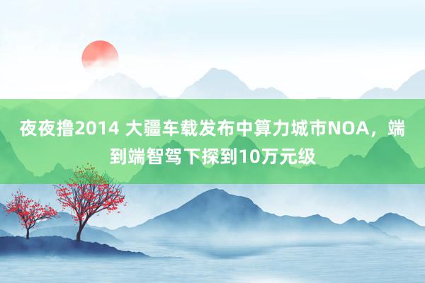 夜夜撸2014 大疆车载发布中算力城市NOA，端到端智驾下探到10万元级