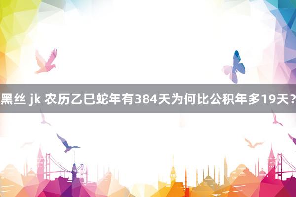 黑丝 jk 农历乙巳蛇年有384天为何比公积年多19天？