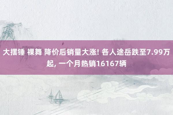 大摆锤 裸舞 降价后销量大涨! 各人途岳跌至7.99万起， 一个月热销16167辆