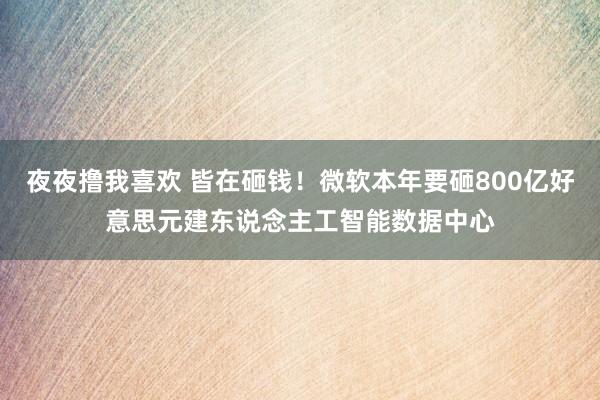 夜夜撸我喜欢 皆在砸钱！微软本年要砸800亿好意思元建东说念主工智能数据中心