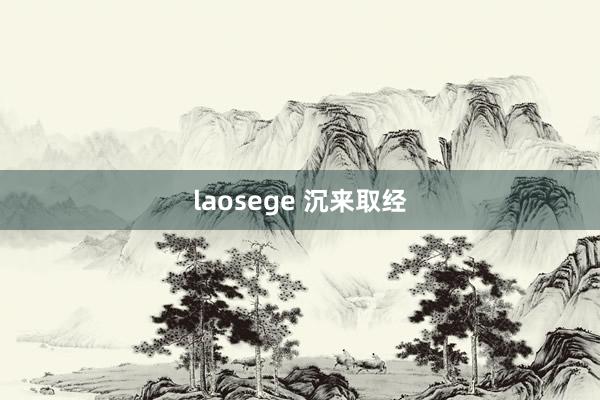 laosege 沉来取经