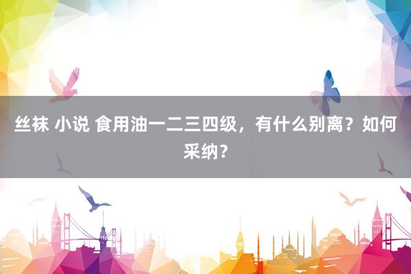 丝袜 小说 食用油一二三四级，有什么别离？如何采纳？