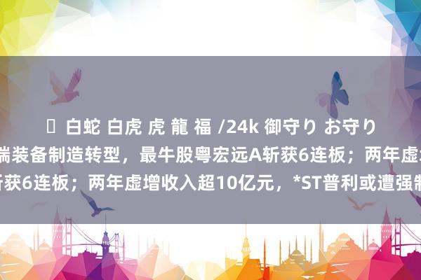 ✨白蛇 白虎 虎 龍 福 /24k 御守り お守り 透视一周牛熊股：拟向高端装备制造转型，最牛股粤宏远A斩获6连板；两年虚增收入超10亿元，*ST普利或遭强制退市