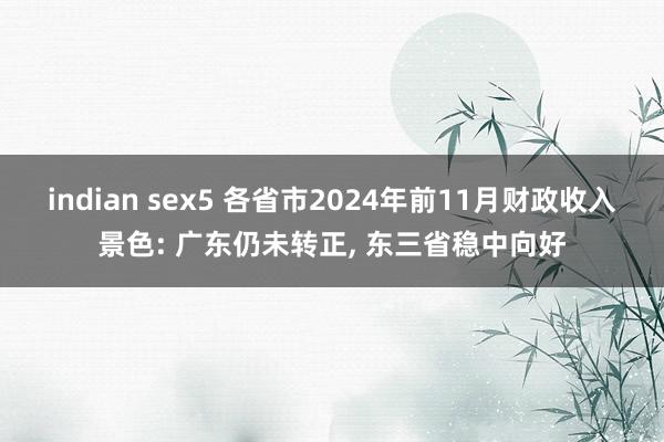 indian sex5 各省市2024年前11月财政收入景色: 广东仍未转正， 东三省稳中向好