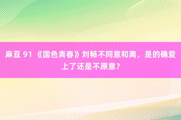 麻豆 91 《国色青春》刘畅不同意和离，是的确爱上了还是不原意？