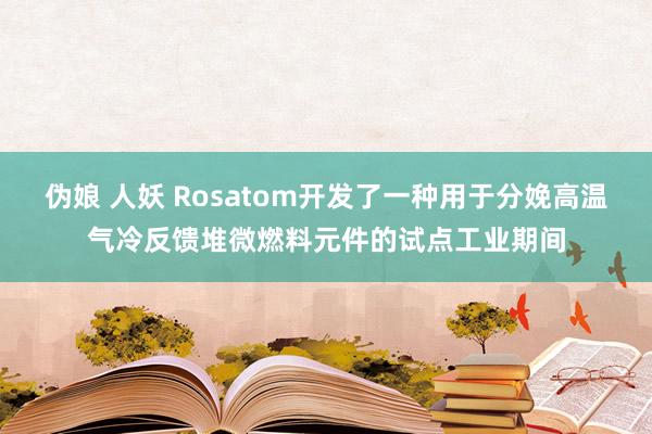 伪娘 人妖 Rosatom开发了一种用于分娩高温气冷反馈堆微燃料元件的试点工业期间