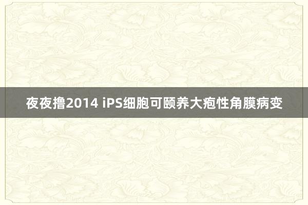 夜夜撸2014 iPS细胞可颐养大疱性角膜病变