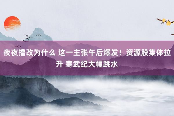 夜夜撸改为什么 这一主张午后爆发！资源股集体拉升 寒武纪大幅跳水