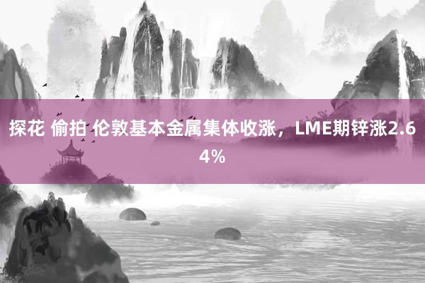 探花 偷拍 伦敦基本金属集体收涨，LME期锌涨2.64%